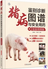 ���a�ӕʐf�f�}���^���S�p�ށi[bo2]�����p�Łj