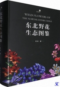 ���k��Ԑ��Ԑ}��